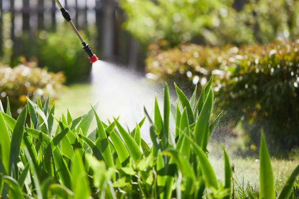 24/7 Emergency Wasp Removal experts in Lewisburg, OH