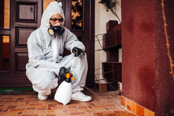 Reliable Wasp Removal contractor in Lewisburg, OH by Show Me Pest Control