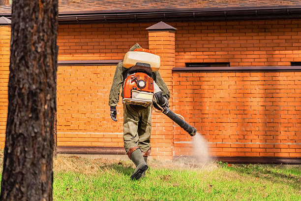 Top rated local Wasp Removal specialists in Lewisburg, OH